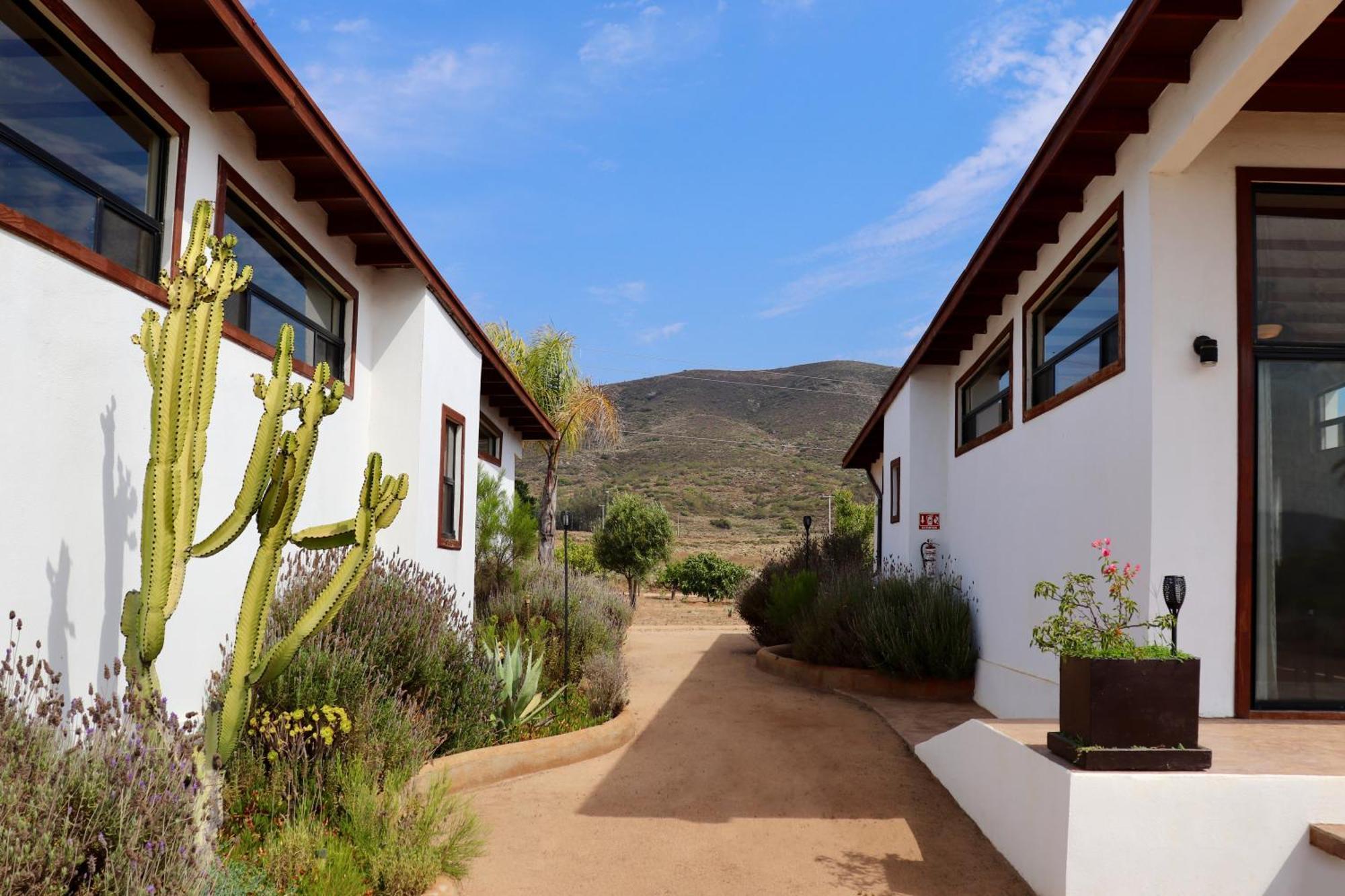 Villa Victoria, Valle De Guadalupe Valle de Guadalupe Exterior foto