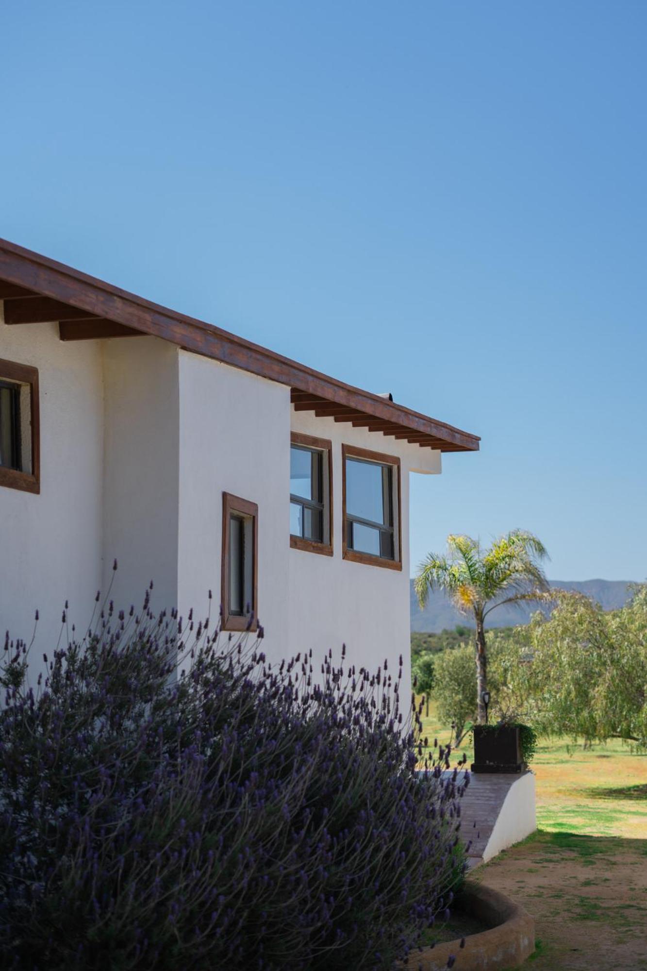 Villa Victoria, Valle De Guadalupe Valle de Guadalupe Exterior foto