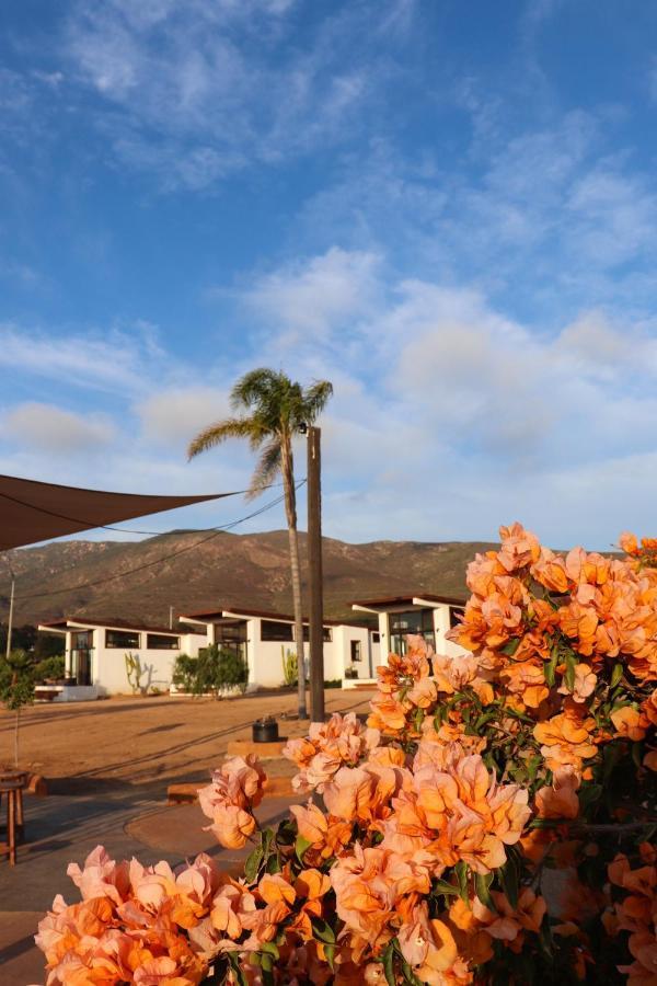 Villa Victoria, Valle De Guadalupe Valle de Guadalupe Exterior foto